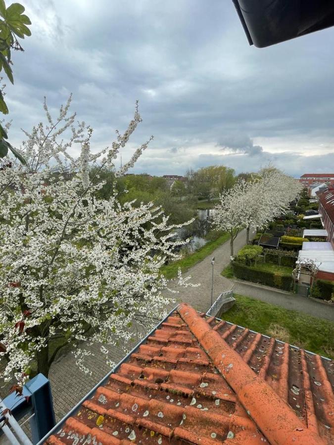 Grosszugige Wohnung In Findorff ブレーメン エクステリア 写真